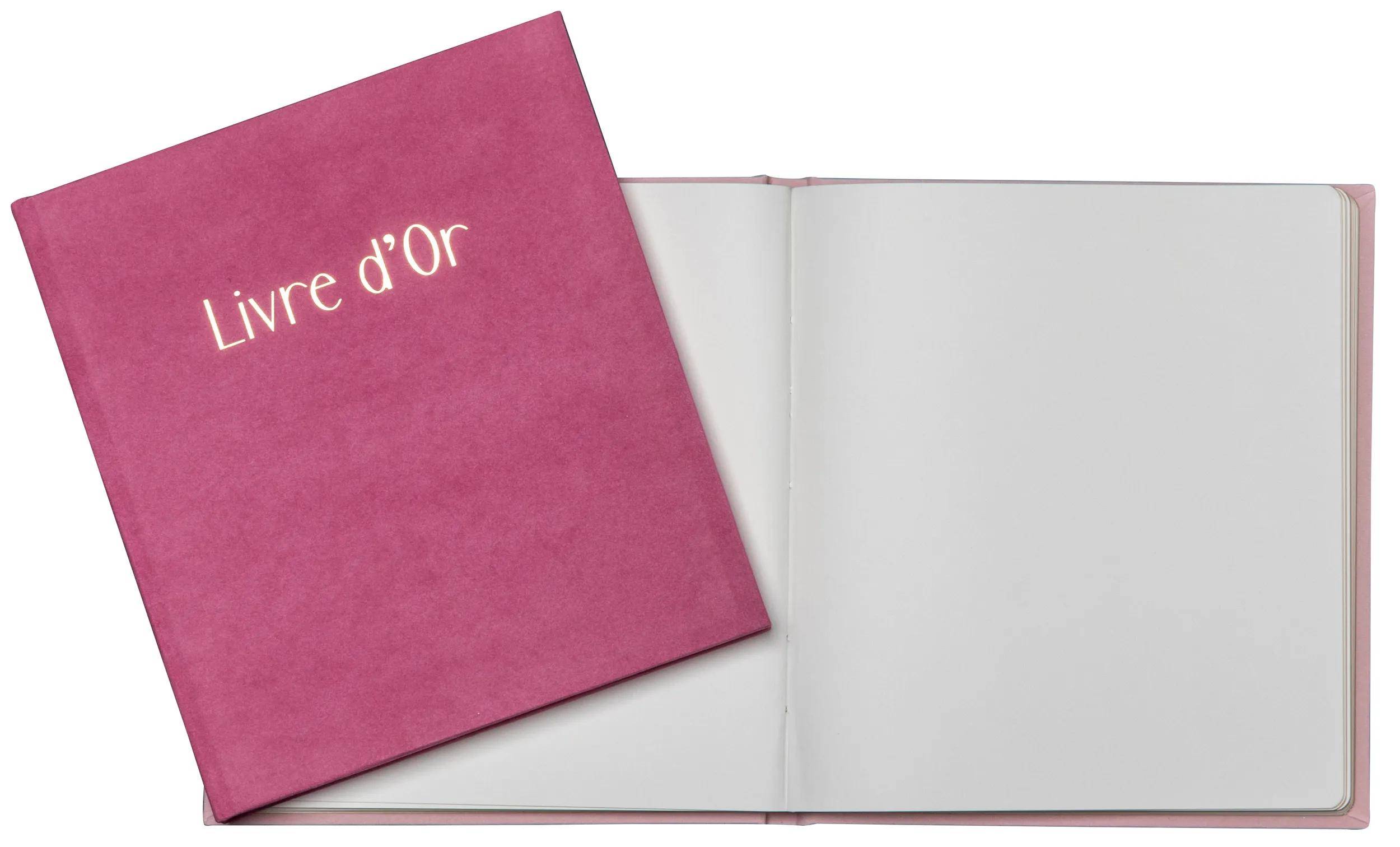 Exacompta Gästebuch, 140 Seiten, Goldschnitt, Skandi - Altrosa - 390E