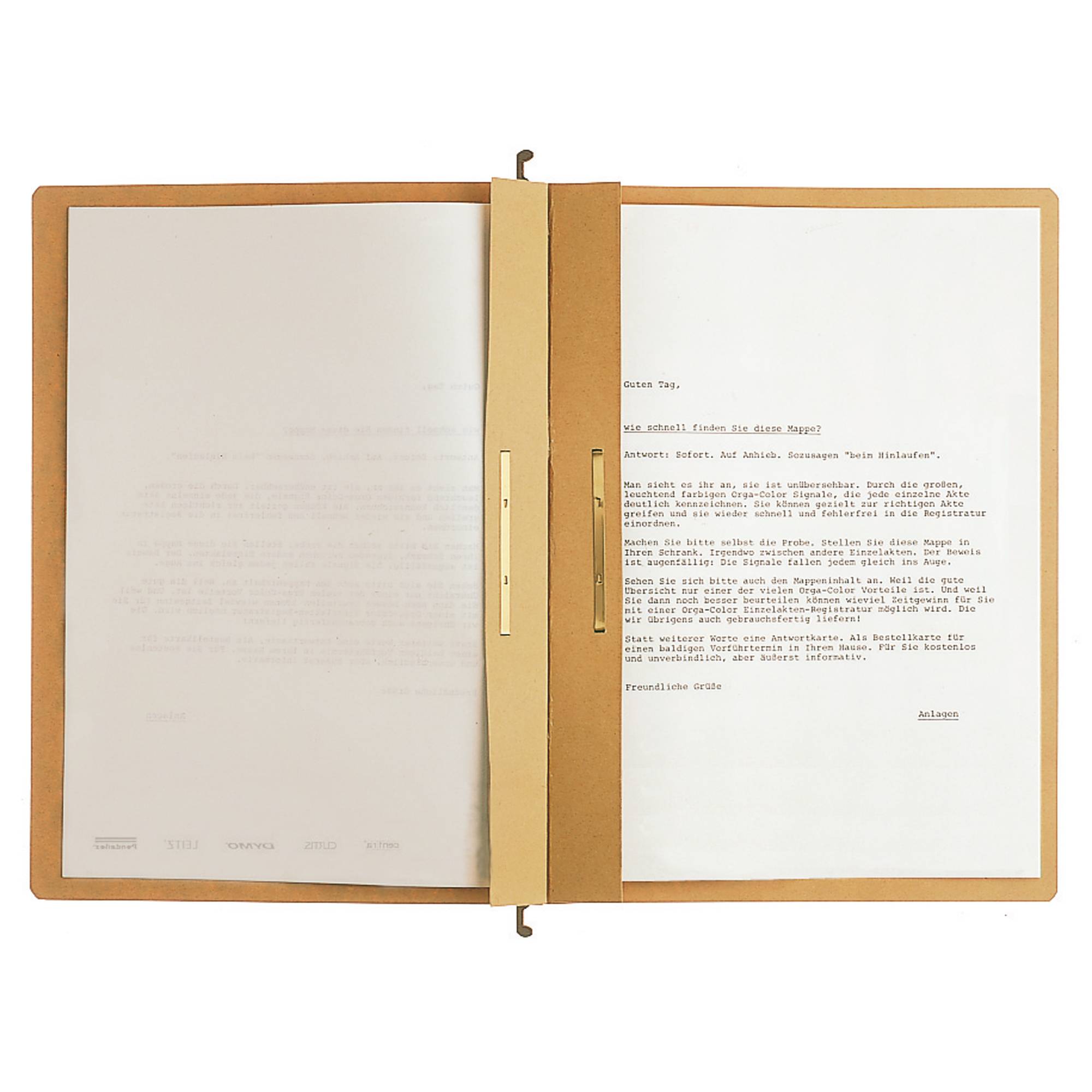 Leitz Hängehefter ALPHA 19870000 A4 225g Karton br 25 St./Pack.