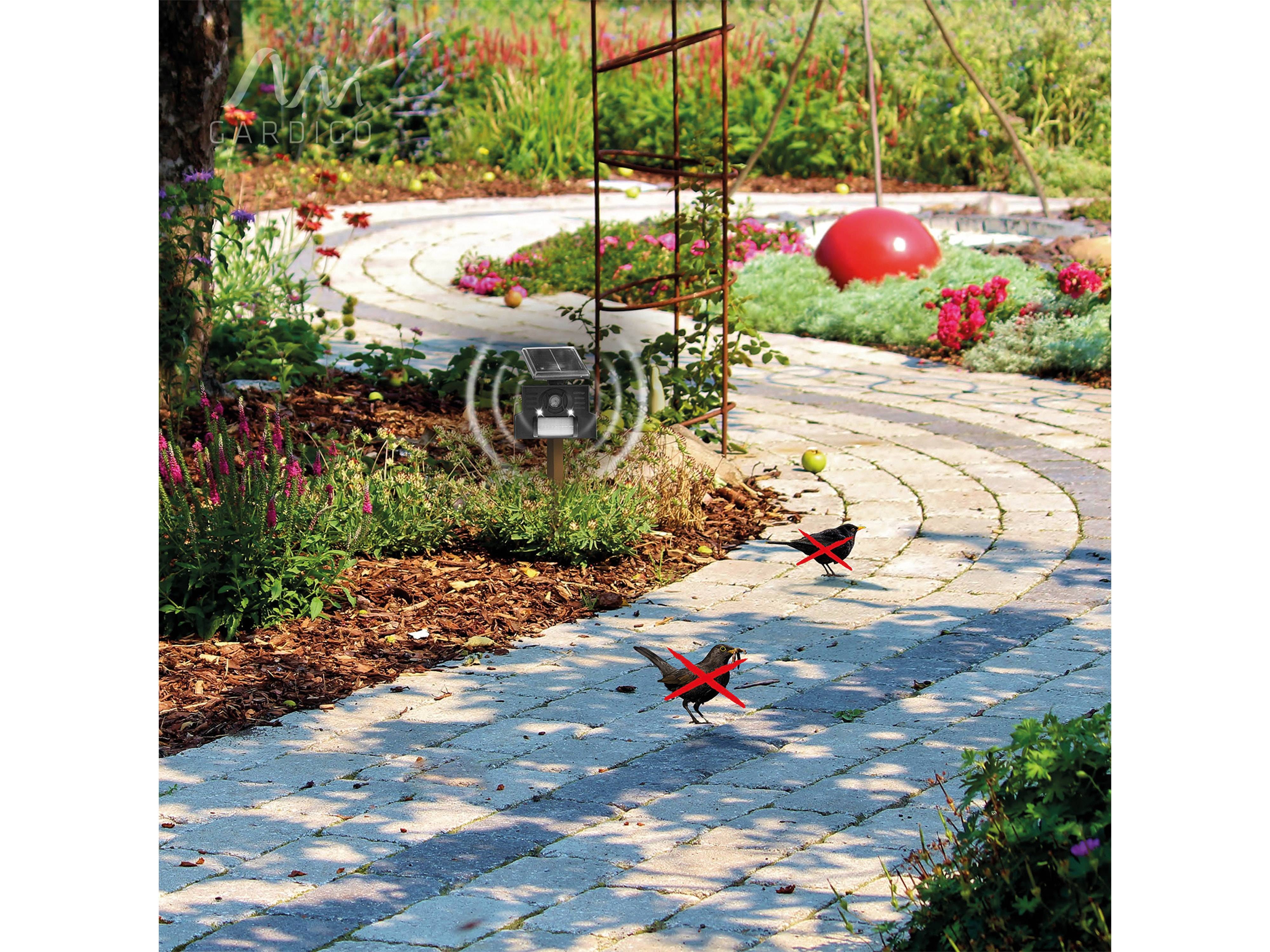 Ein Gartenweg windet sich durch eine gestaltete Fläche mit Blumen. Ein solarbetriebener Scheinwerfer wird im Gartenambiente aktiviert.