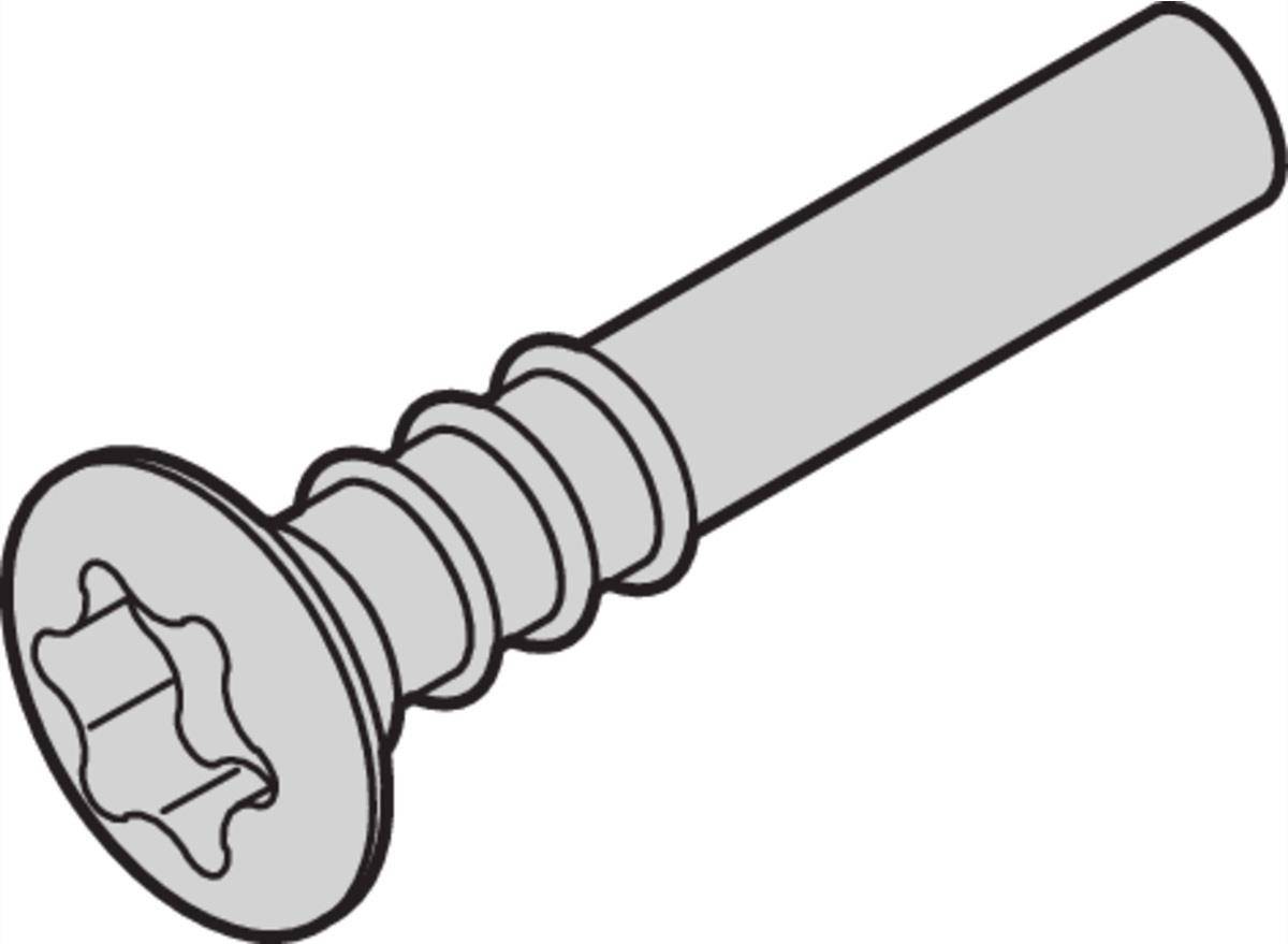 SCHROFF Torx-Linsenkopfschraube