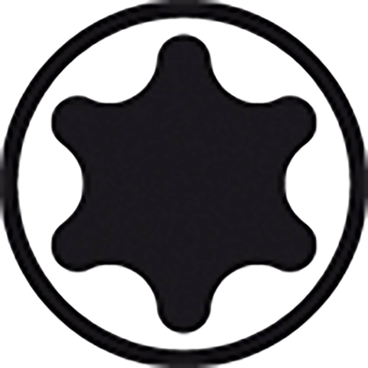 Stiftschlüssel Set im ProStar Halter TORX® 14-tlg. schwarzoxidiert (24312)