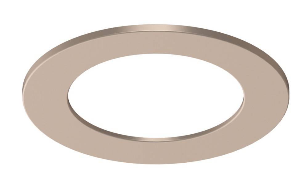 Ein kreisförmiger, metallischer Ring mit einem hohlen Zentrum, höchstwahrscheinlich Teil einer mechanischen oder dekorativen Vorrichtung.