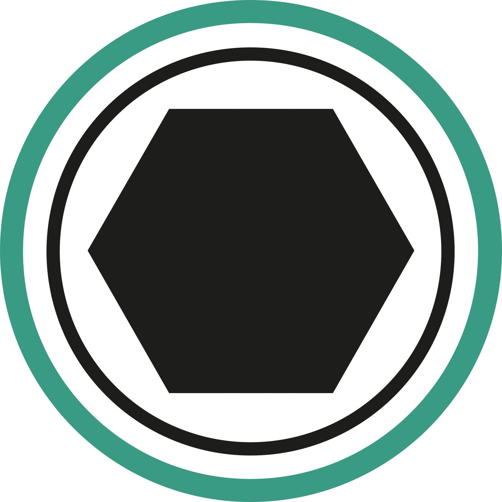 1/1" INHEX-Schraubendrehereinsatz Abtriebssechskant 24mm L.90mm
