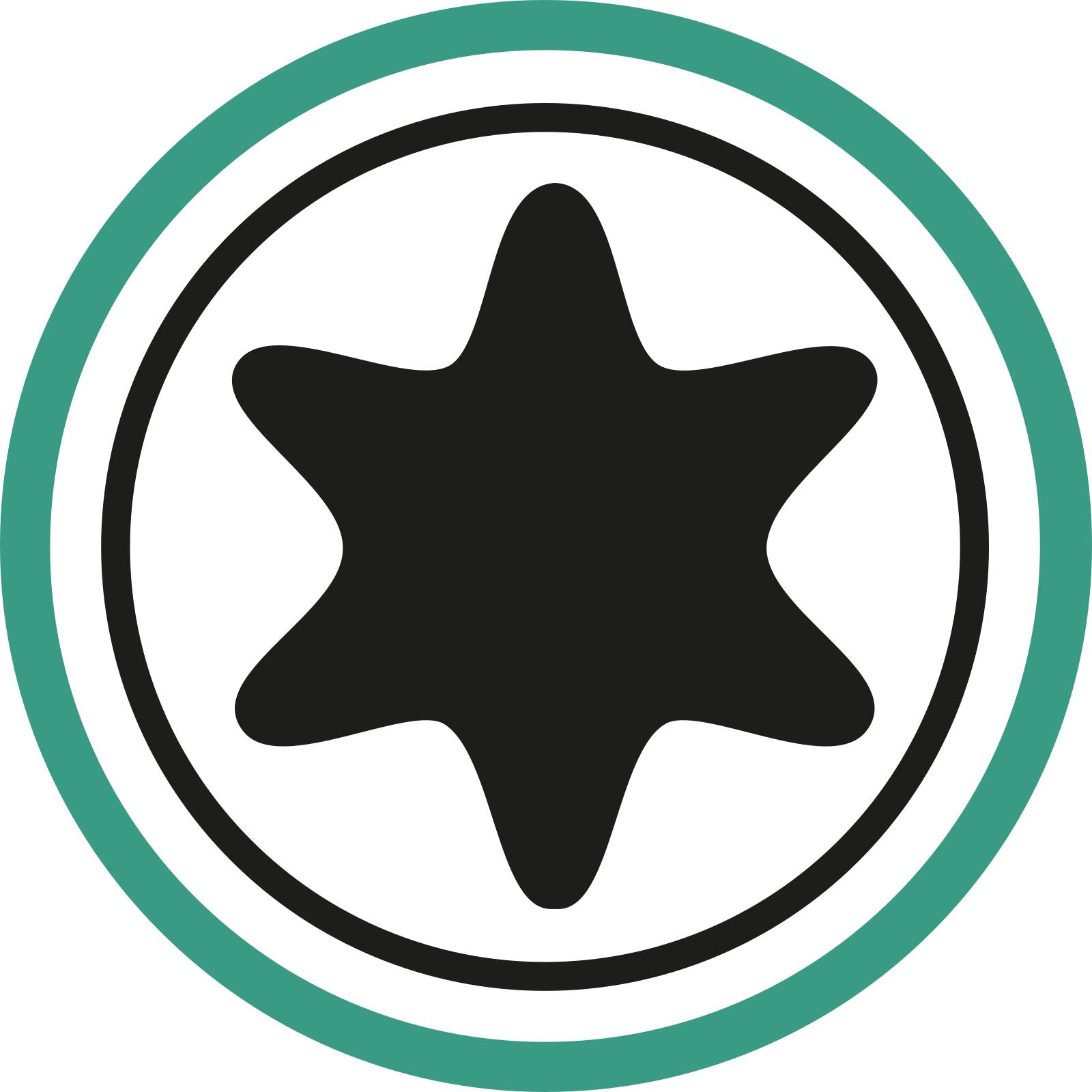 Winkelschraubendreher T9 L.18mm x 67mm