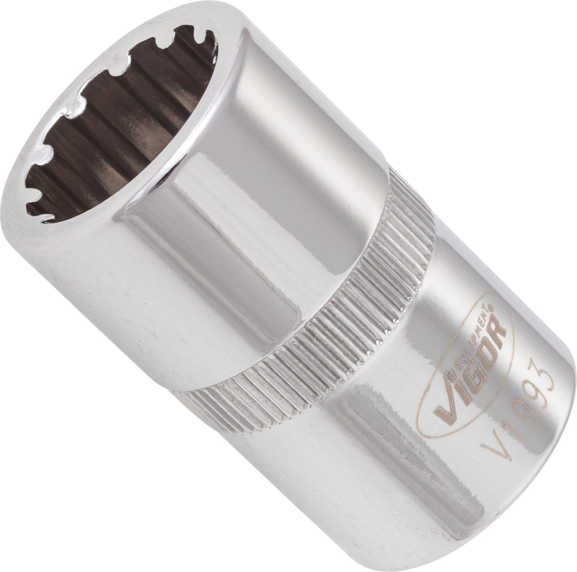 VIGOR Multiprofil Steckschlüsseleinsatz ∙ V1993 ∙ Vierkant hohl 12,5 mm (1/2 Zoll) ∙ Multiprofil ∙ 15 mm