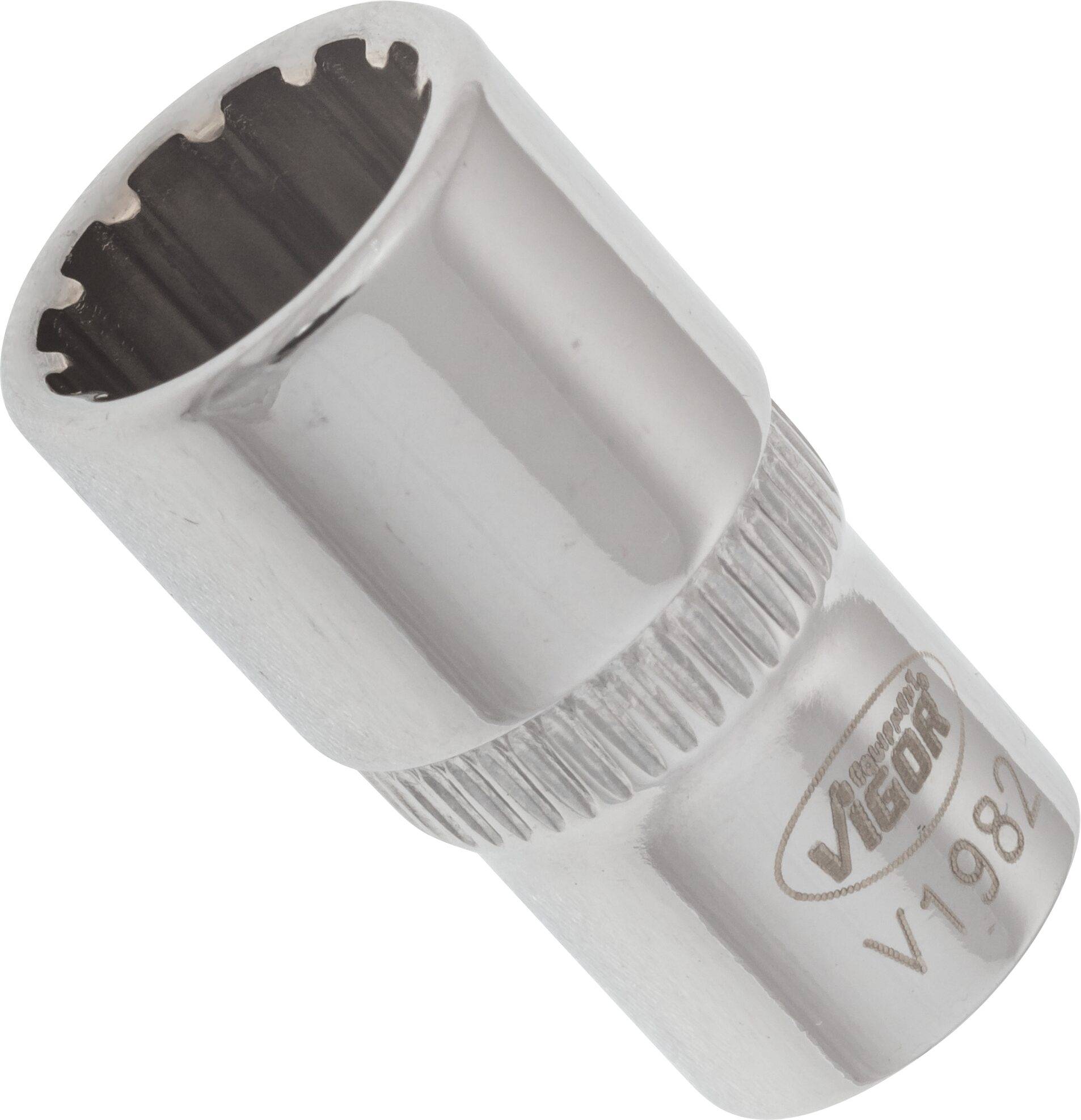 VIGOR Multiprofil Steckschlüsseleinsatz ∙ V1982 ∙ Vierkant hohl 6,3 mm (1/4 Zoll) ∙ Multiprofil ∙ 9 mm