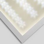 LED's light PRO LED-Panel 62 x 62 cm 25W neutralweiß UGR<19