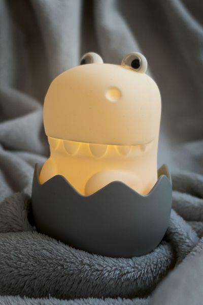 Diggy Dino Accu Usb Rgbw 3w