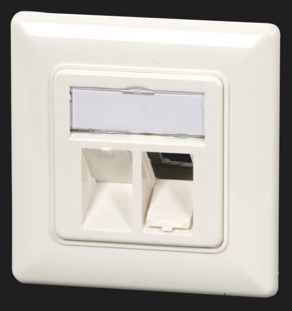 Eine weiße doppelte RJ45-Wandsteckdose mit Ethernet-Anschlüssen, die für Netzwerkkabelverbindungen verwendet wird, an einem grauen Hintergrund montiert.