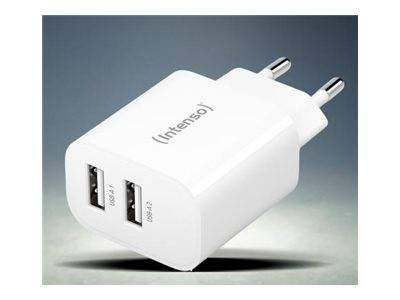 Weiß-schwarzes Dual-USB-Wandladegerät mit zwei Steckern und 