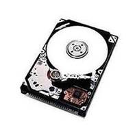 Lenovo Festplatte - 4 TB - Hot-Swap - 3.5" (8.9 cm)
