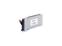 Lenovo QLogic 20-port 4Gb Fibre Channel Switch Module