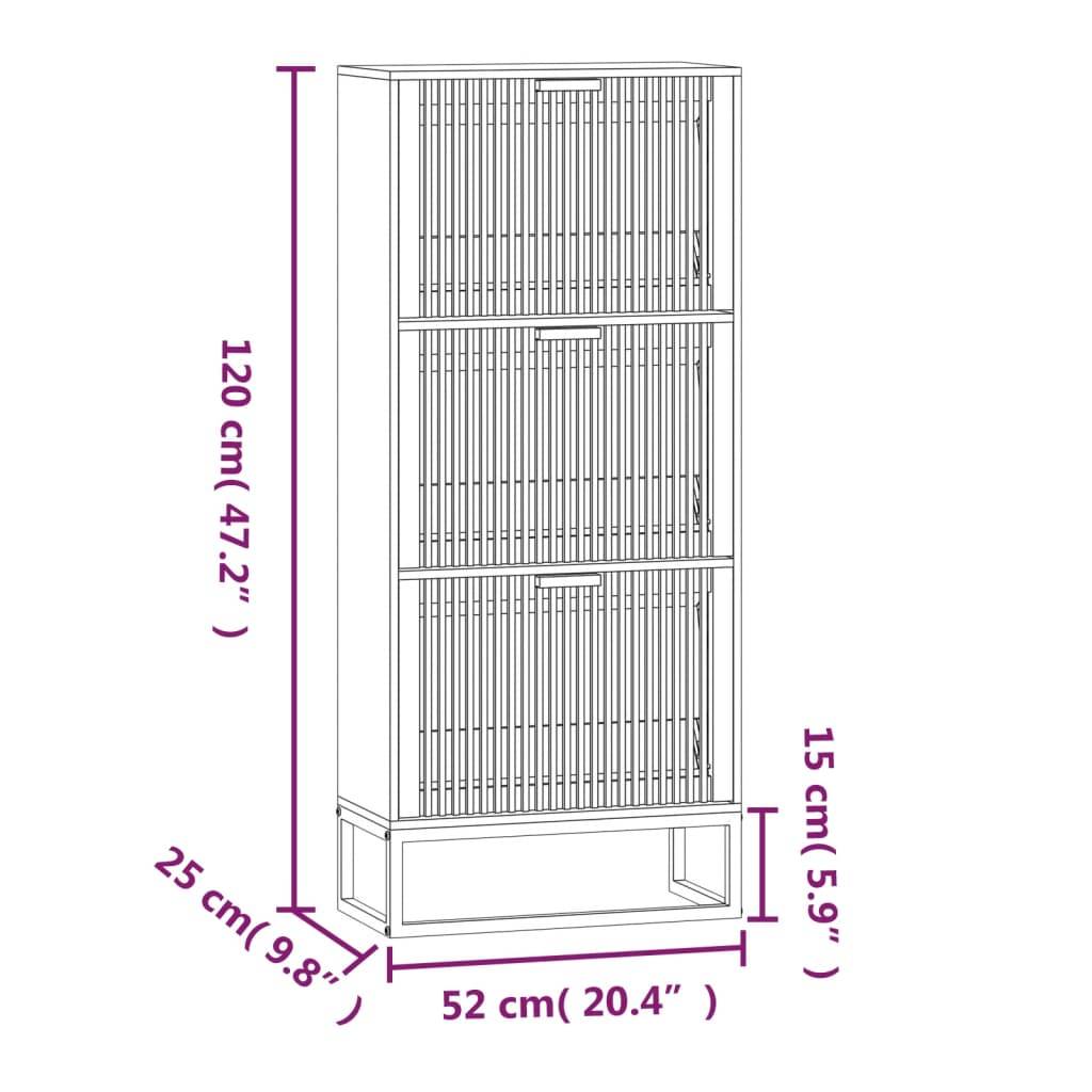 vidaXL Schuhschrank Schwarz 52x25x120 cm Holzwerkstoff