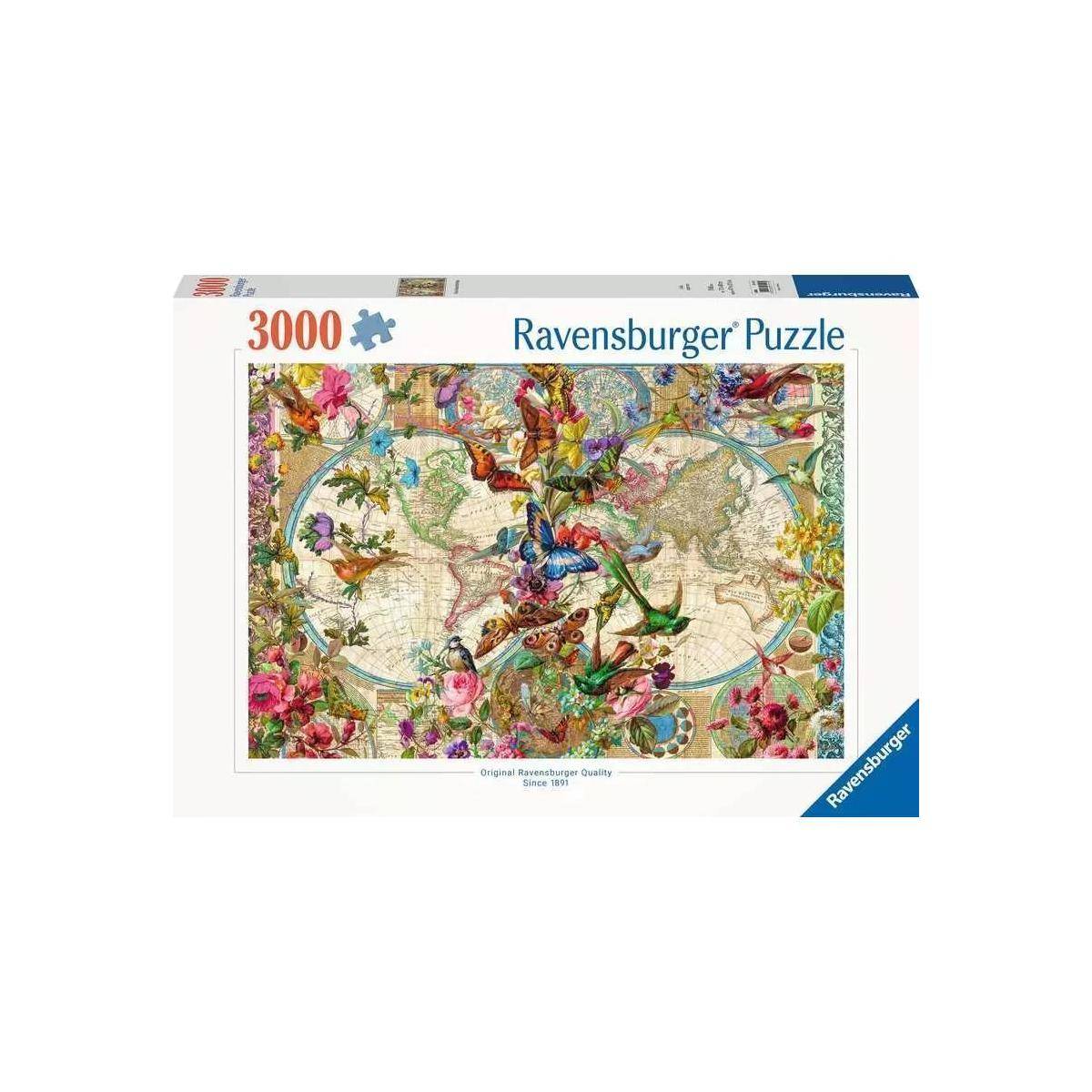 Weltkarte mit Schmetterlingen