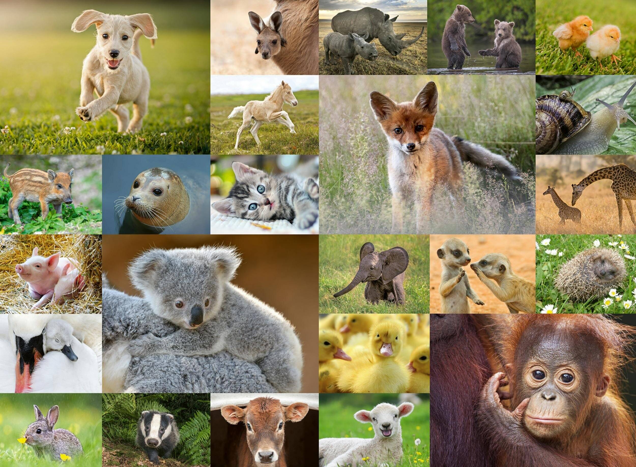 Ravensburger Puzzle Adorable Baby Animals, 200pcs. XXL
