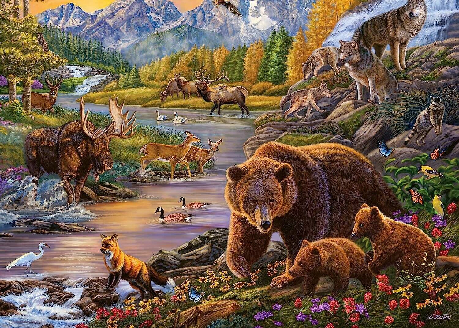 Ravensburger 16790 Wildernis Legepuzzle, Multicolor