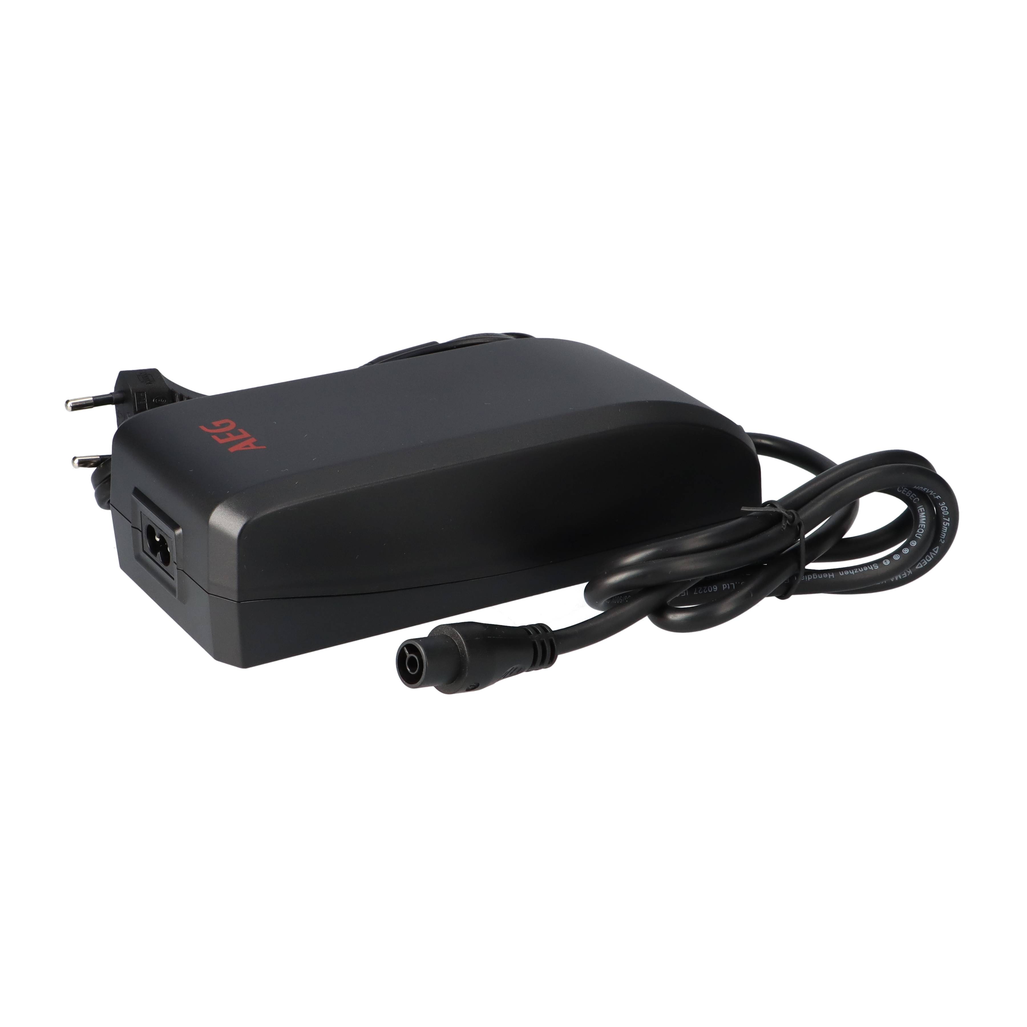 Ladegerät für AEG Downtube E-Bike Akkus 3A 48V 230V 6 polig