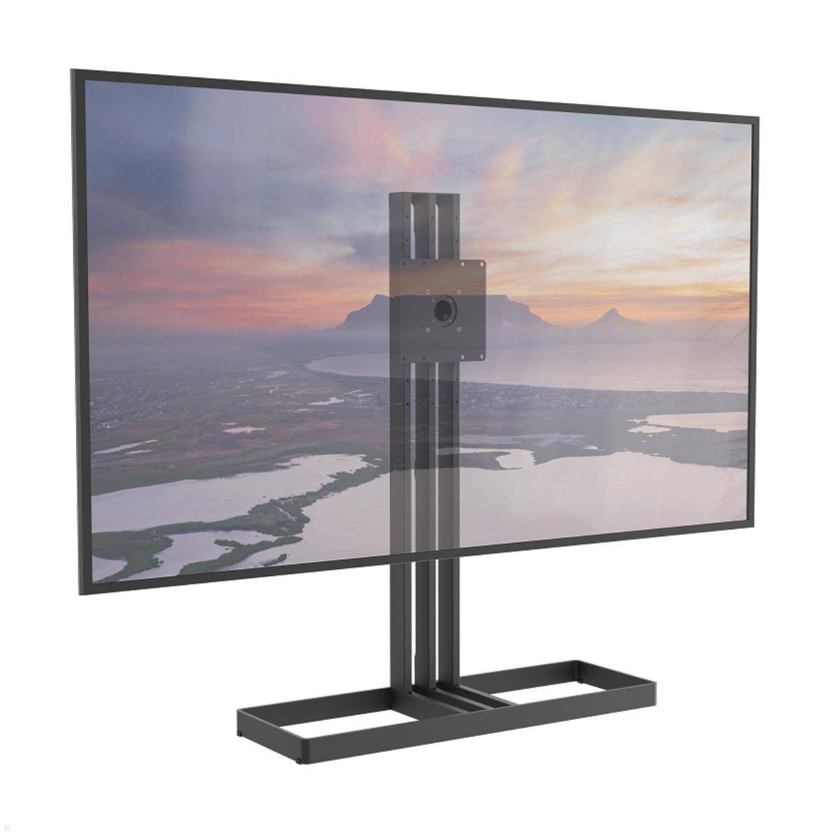 Cavus EDGE100B22 TV Bodenständer 1000 mm Säule VESA 200x200, schwarz