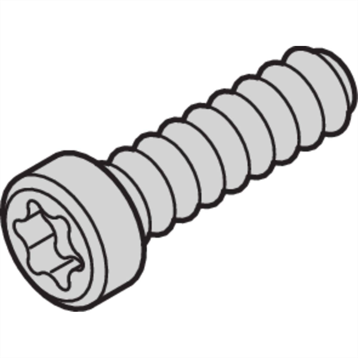 Eine detaillierte Illustration einer Schraube mit Torx-Kopf und groben Gewinden, die üblicherweise zum Befestigen von Materialien verwendet wird, die einen starken Halt erfordern.