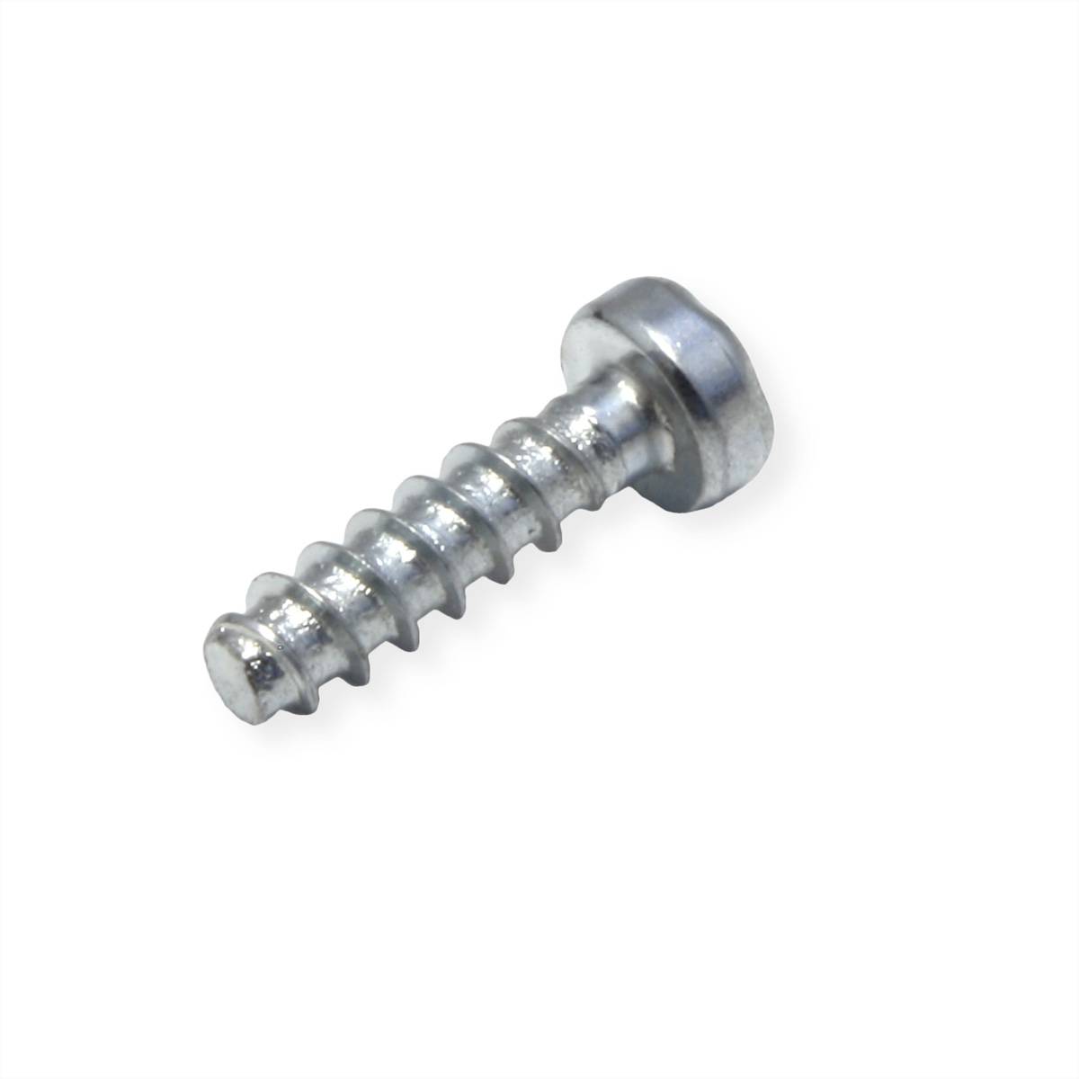 Ein Nahaufnahmebild einer kleinen silbernen Metallschraube mit flacher Oberseite und scharfem Gewindelende, häufig verwendet zum Befestigen von Holz oder Metall.