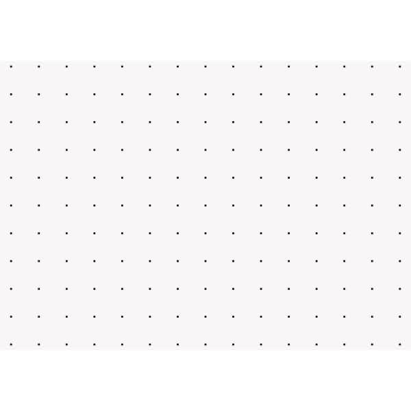 Karteikarten A8 punktiert weiß VE=100 Stück