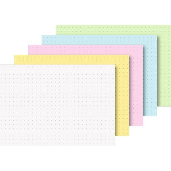 Karteikarten A6 punktiert sortiert VE=100 Stück