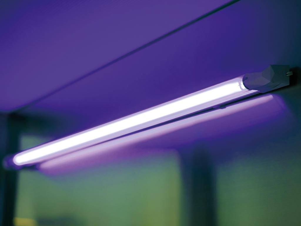 Perel UV-Lampe für Insektenvernichter, 10 W, max. 8000 Std., Ø 25.5 mm x 329 mm