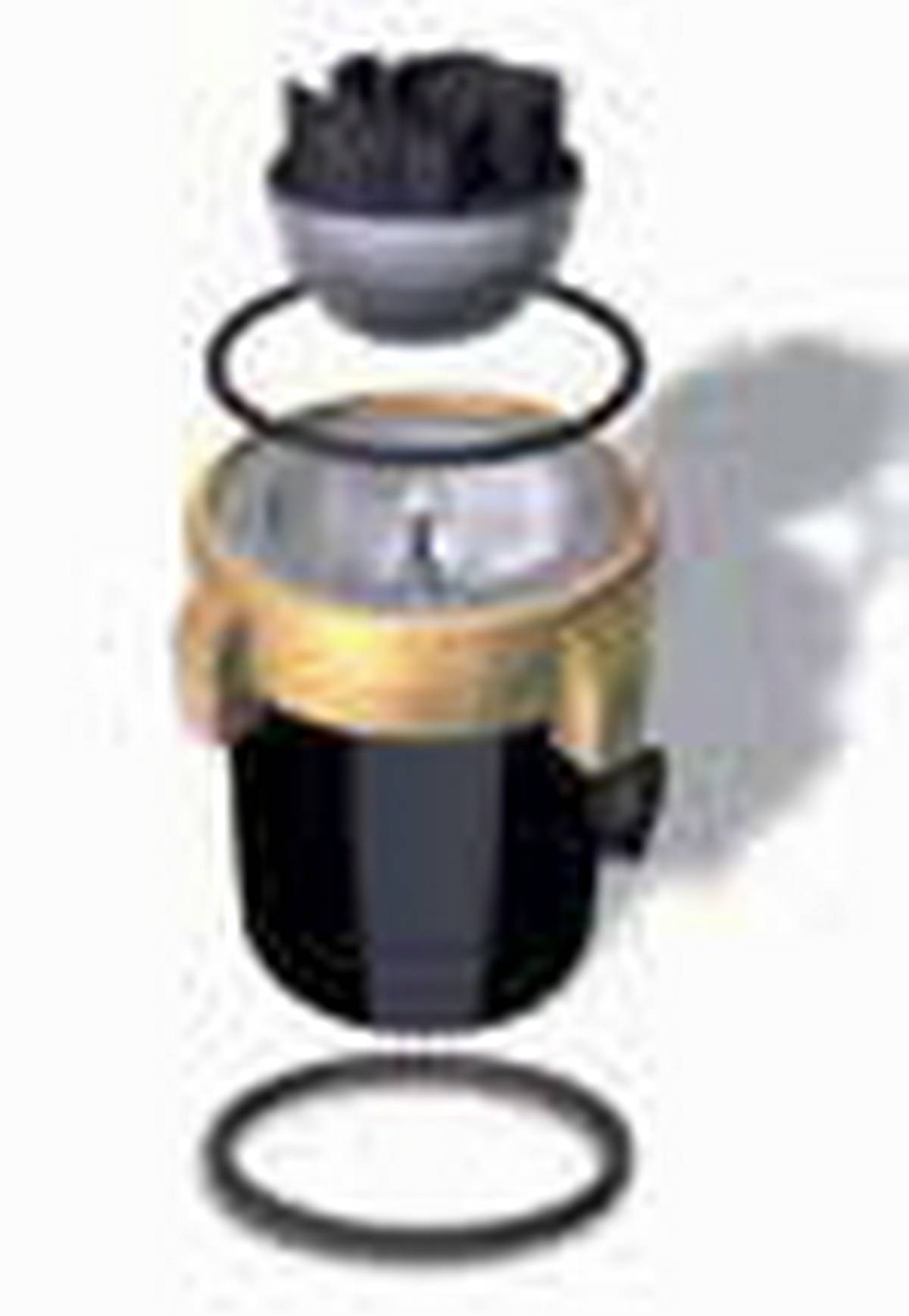 Lowara ecocirc PRO 1M Austauschmotor für alle Fremdfabrikate