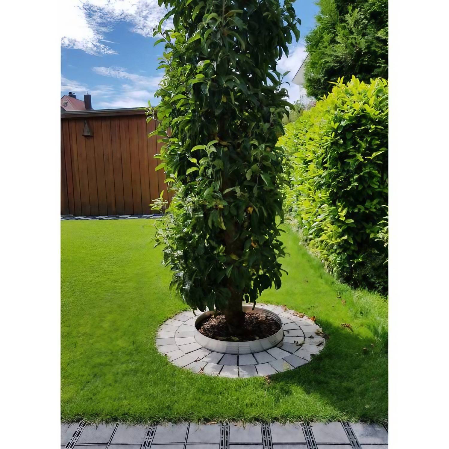 Baumring aus Alu Höhe 140 mm Durchmesser 1.2 m | Baumumrandung | Pflanzringe