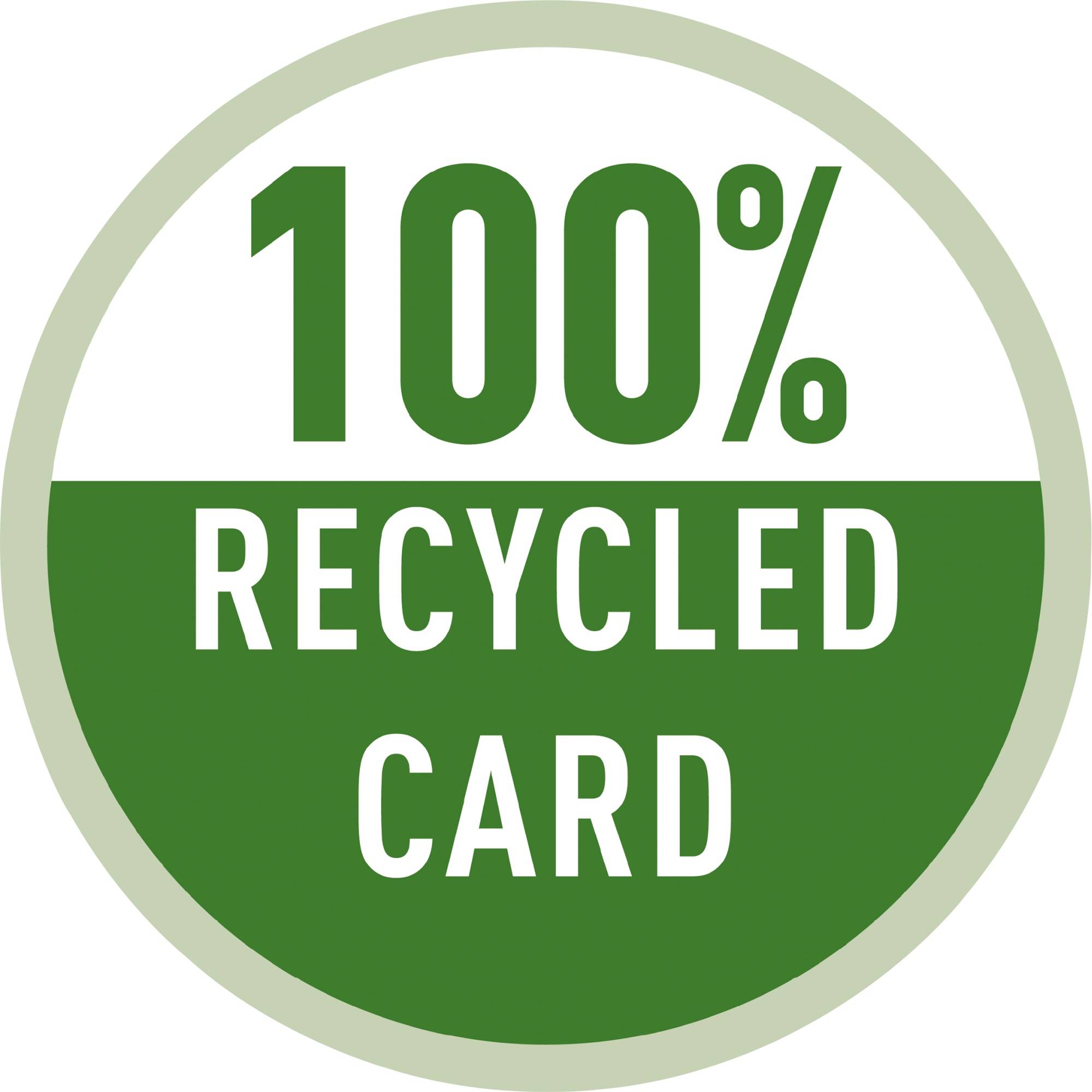 Leitz Hängehefter Recycle 19200095 DIN A4 schwarz