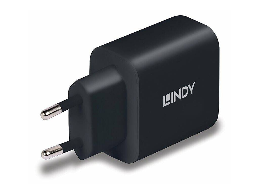Lindy - Netzteil - GaN - 65 Watt - 3 A - PD 3.0, PD/PPS (24 pin USB-C)