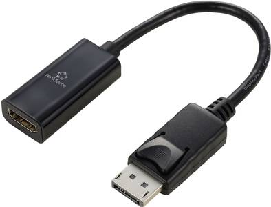 Renkforce RF-5596324 DisplayPort Konverter [1x DisplayPort Stecker