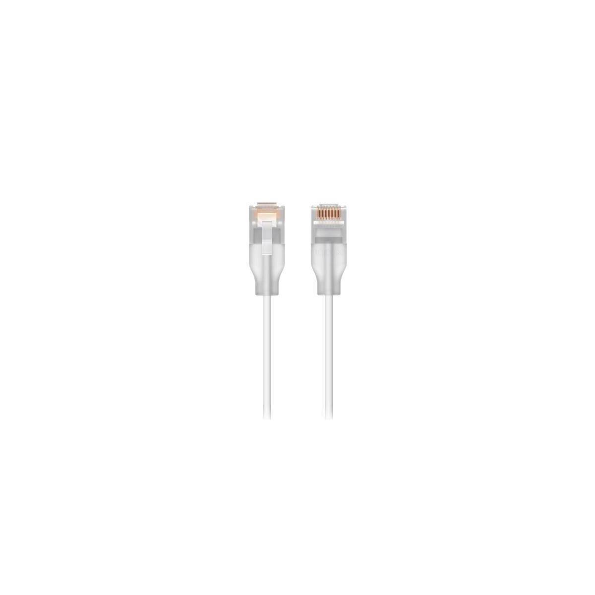 Ein einzelnes Ethernet-Kabel mit zwei RJ45-Steckern auf weißem Hintergrund. Die Stecker werden von der Vorderansicht gezeigt.
