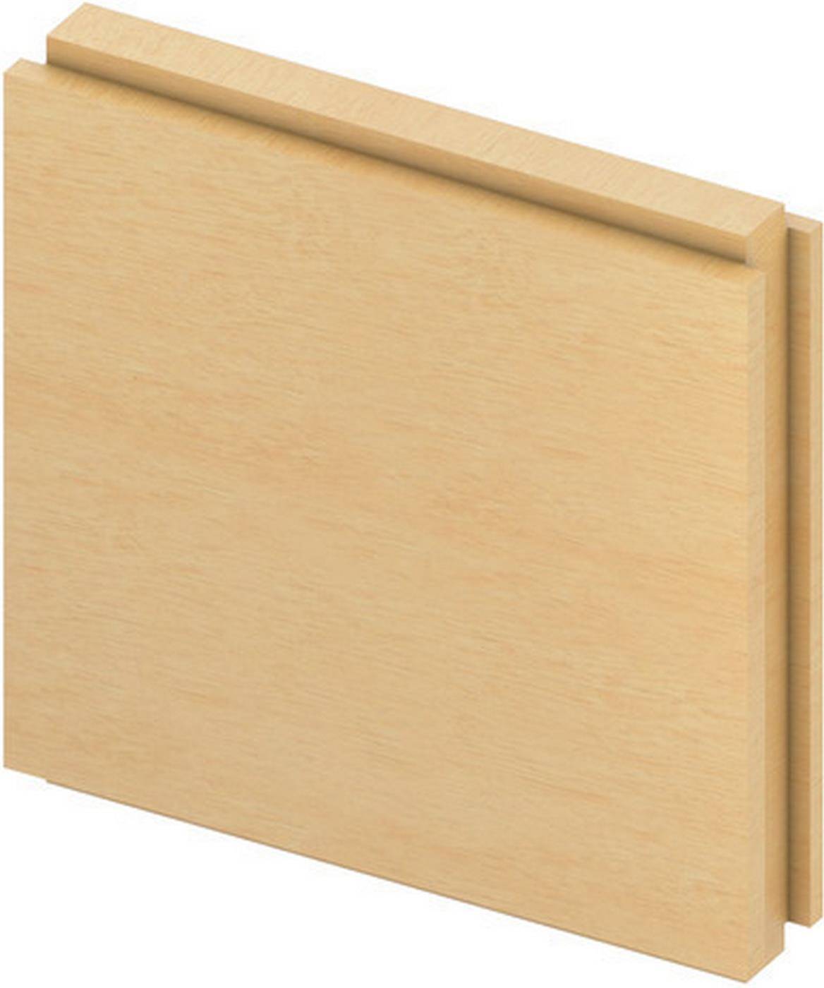 Flache Holzschranktür aus hellem Holz mit erhöhter Kantenleiste, vor weißem Hintergrund dargestellt.
