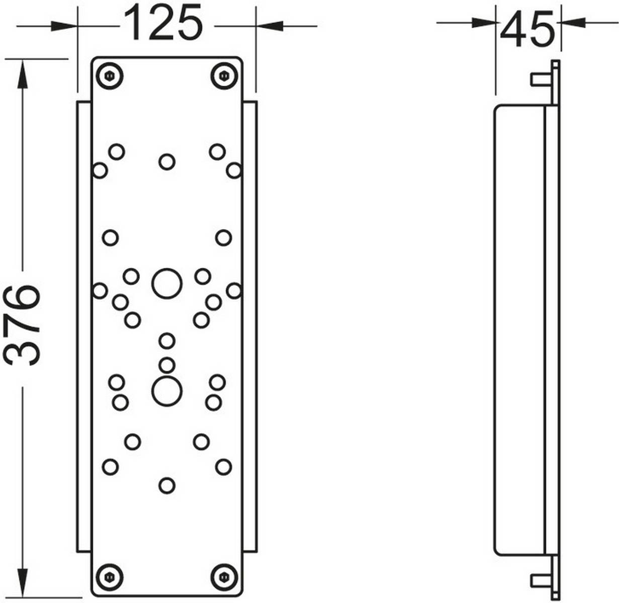 Technische Zeichnung einer rechteckigen Montageplatte dargestellt in Vorder- und Seitenansicht, mit Abmessungen von 125 mm Breite, 376 mm Höhe und 45 mm Tiefe, mit mehreren Schrauben- und Lochpositionen.
