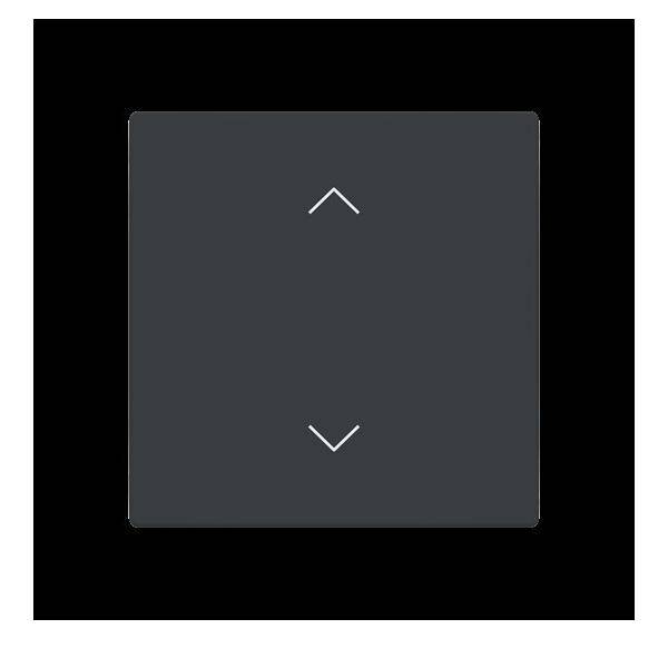 Busch-Jaeger Abdeckung als Wippe LFAW/A.1.63.11-81