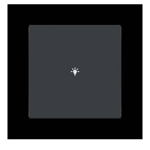 Busch-Jaeger Abdeckung als Taster LFBT/A.1.63.11-81