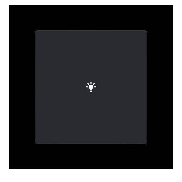 Busch-Jaeger Abdeckung als Taster LFBT/A.1.63.11-885