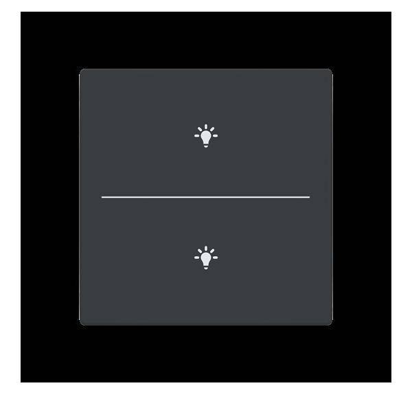 Busch-Jaeger Abdeckung als Taster LFBT/A.2.63.11-81