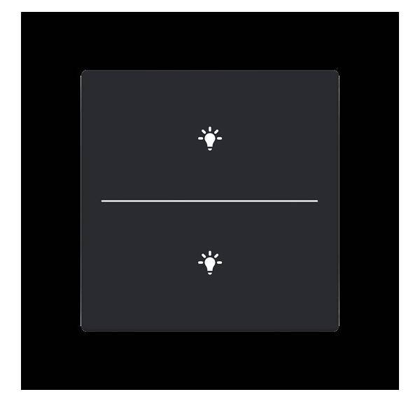 Busch-Jaeger Abdeckung als Taster LFBT/A.2.63.11-885