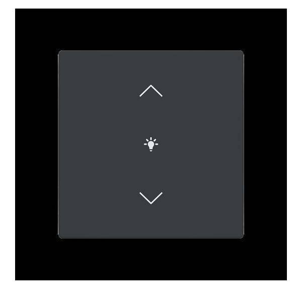 Busch-Jaeger Abdeckung als Wippe LFDW/A.1.63.11-81