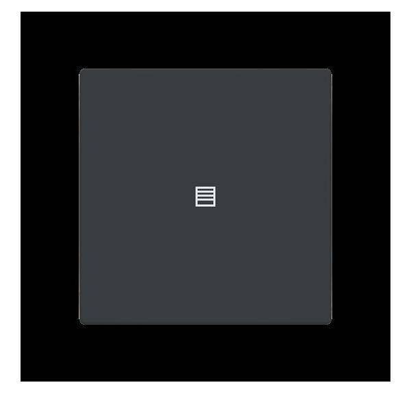 Busch-Jaeger Abdeckung als Taster LFJT/A.1.63.11-81