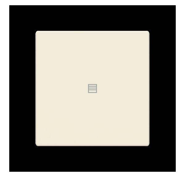 Busch-Jaeger Abdeckung als Taster LFJT/A.1.63.11-82