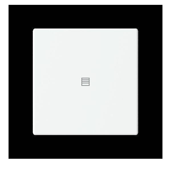 Busch-Jaeger Abdeckung als Taster LFJT/A.1.63.11-884