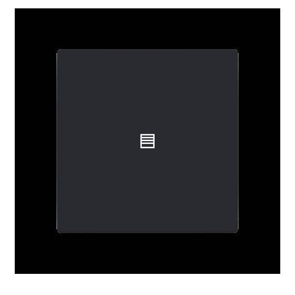 Busch-Jaeger Abdeckung als Taster LFJT/A.1.63.11-885