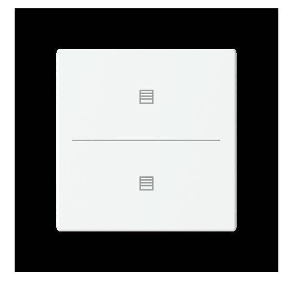 Busch-Jaeger Abdeckung als Taster LFJT/A.2.63.11-884