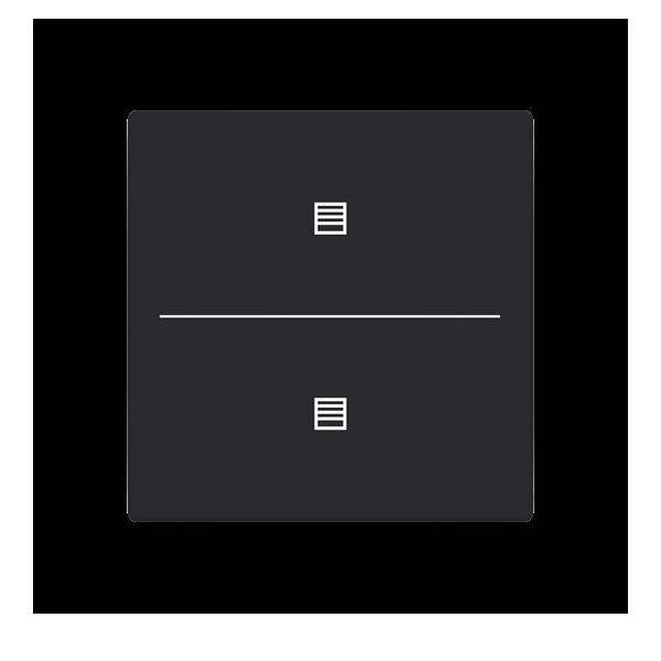 Busch-Jaeger Abdeckung als Taster LFJT/A.2.63.11-885