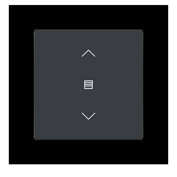 Busch-Jaeger Abdeckung als Wippe LFJW/A.1.63.11-81