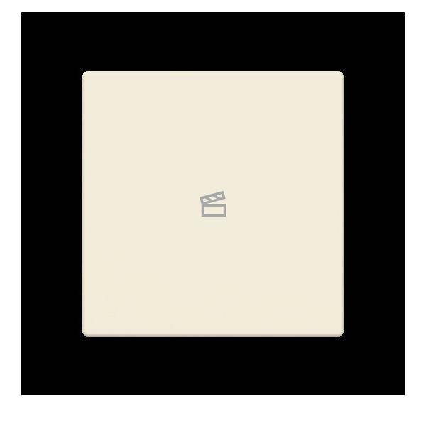 Busch-Jaeger Abdeckung als Taster LFST/A.1.63.11-82