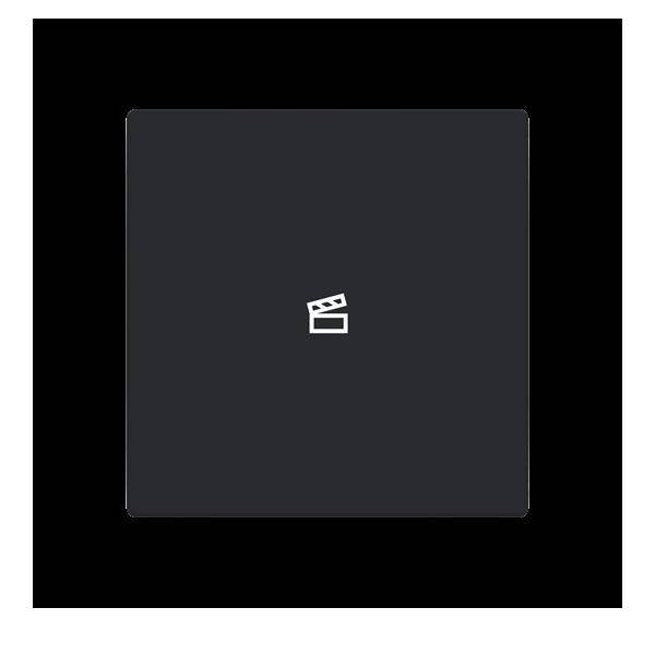 Busch-Jaeger Abdeckung als Taster LFST/A.1.63.11-885